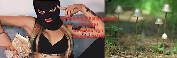 ALPHA-PVP Алексеевка