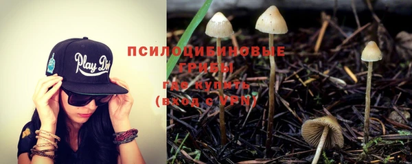 прущие крисы Алексин