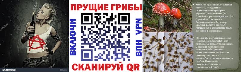 магазин наркотиков Шацк Псилоцибиновые грибы Magic Shrooms